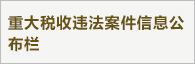 重大税收违法案件信息公布栏